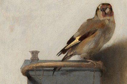 The Goldfinch