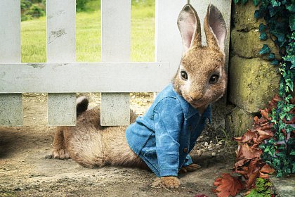 Peter Rabbit