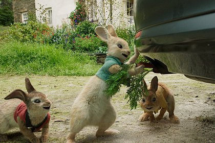 Peter Rabbit